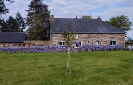 G&icirc;te n&deg;35G15080 Pl&eacute;lan-le-Grand - Ille-et-Vilaine - photo