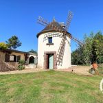 Moulin &agrave; vent - Le Moulin de la Chicane - ORGERES - Ille-et-Vilaine
